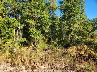 State Route 20, Hosford, FL 32334