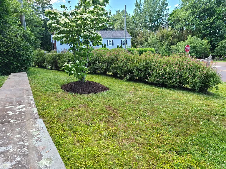 91 Maple St — Photo 9