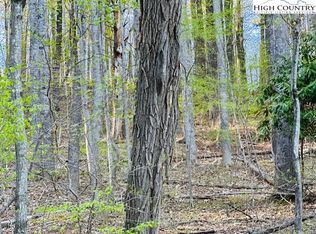 Tbd Bald Mountain Rd, West Jefferson, NC 28694