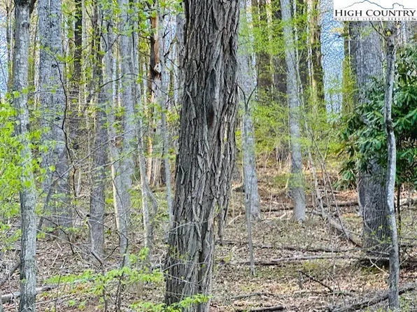 TBD Bald Mountain Road, West Jefferson, NC 28694