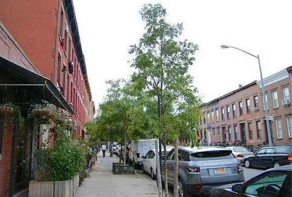 Rented by Fifth & Forever LLC | media 8