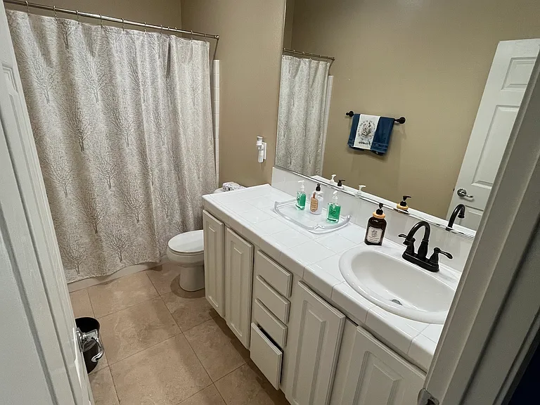 Renters bathrooms