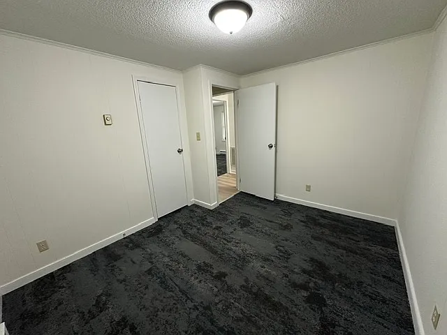 2924 New Hope Rd — Photo 32