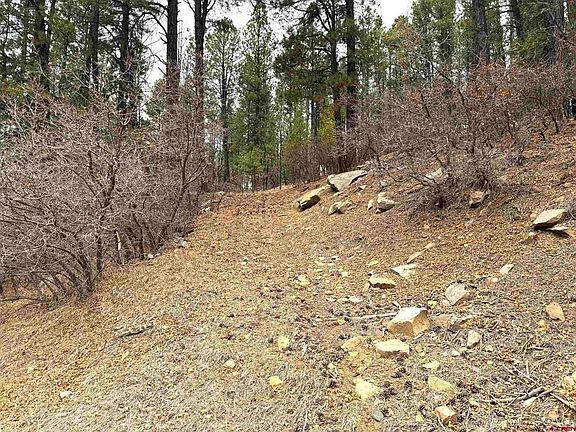 5th image of 421 Forest Lakes Drive