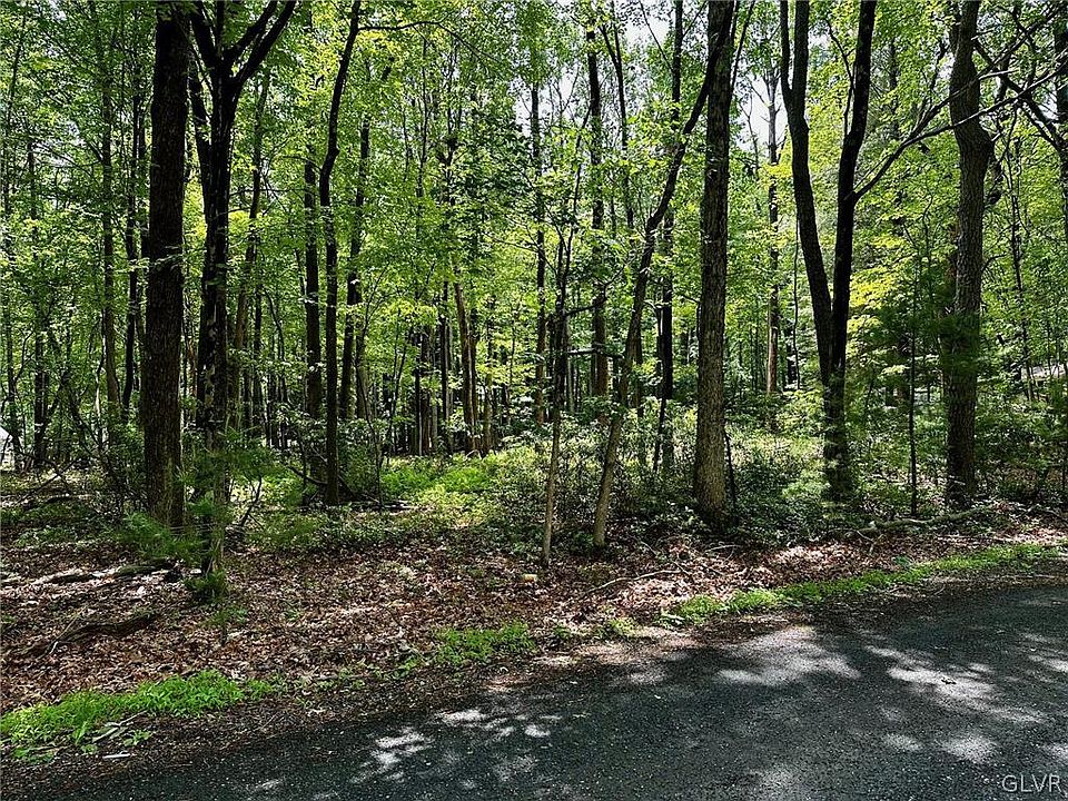 1st image of Gumwood Ln