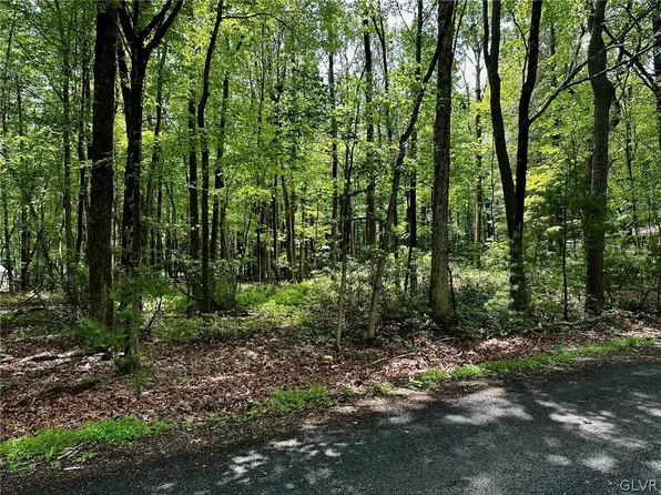 Gumwood Ln, Kunkletown, PA 18058