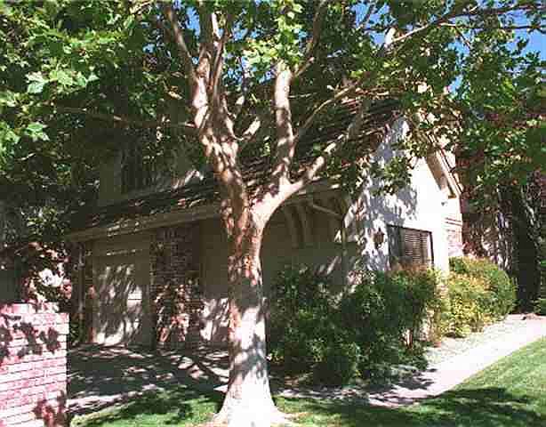 1st image of 300 Seagle Nest Ln