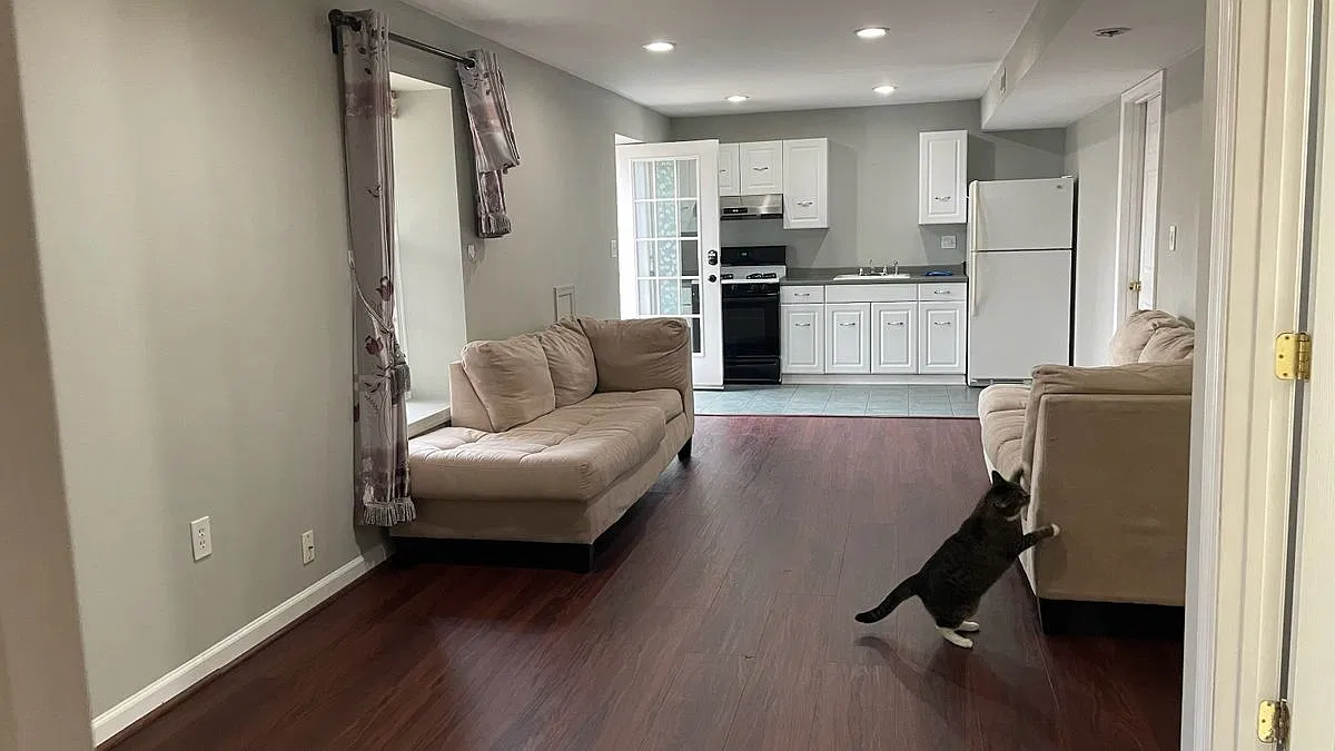 2 bed, 1.0 bath, 920 sqft, $1,700 — Photo 3