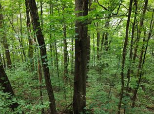 0 Lakeside Dr LOT 111, Smithville, TN 37166