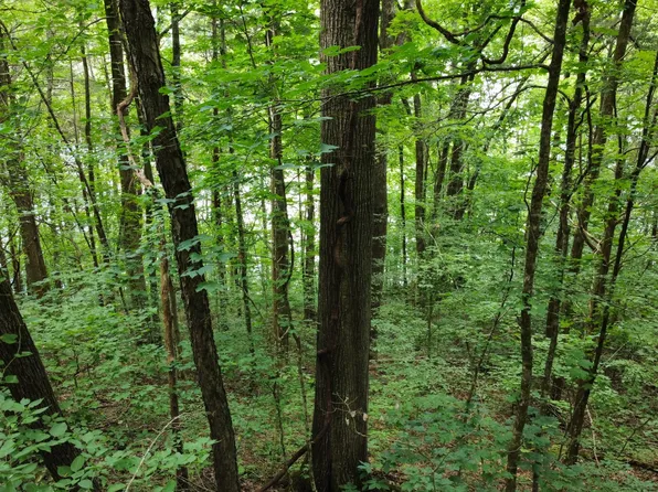 0 Lakeside Dr Lot 111, Smithville, TN 37166