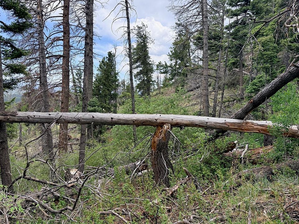 1st image of County Road 40.2