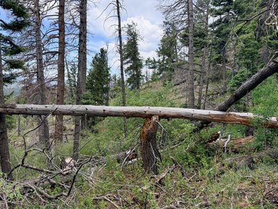 County Road 40.2, Trinidad, CO, 81082