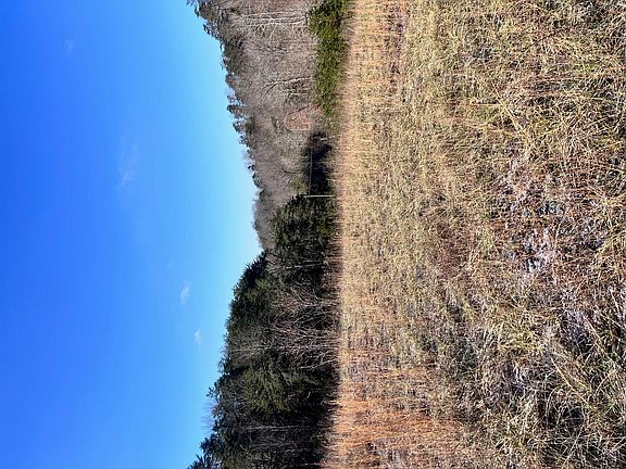 4th image of 1581 Lower Caney Valley Rd