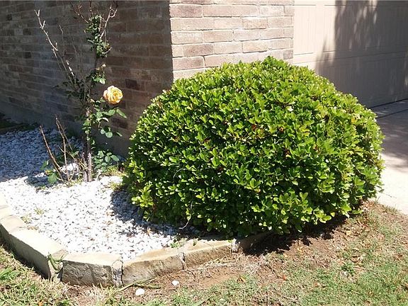 3rd image of 10247 Blackjack Oaks Dr