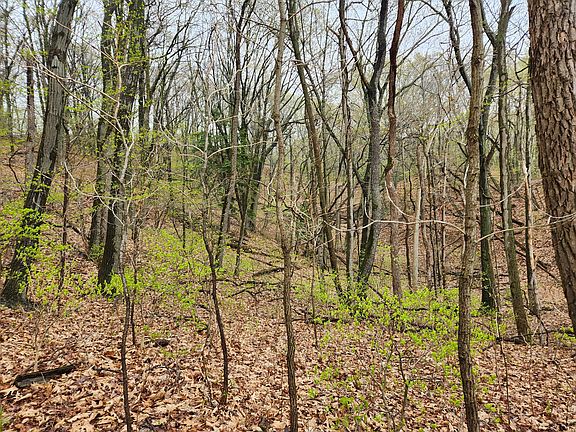 5th image of LOT 16 Wildwood Dr