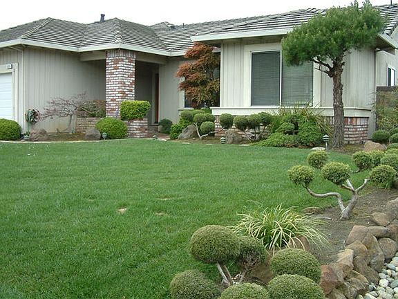 Trees bigger than this now. 