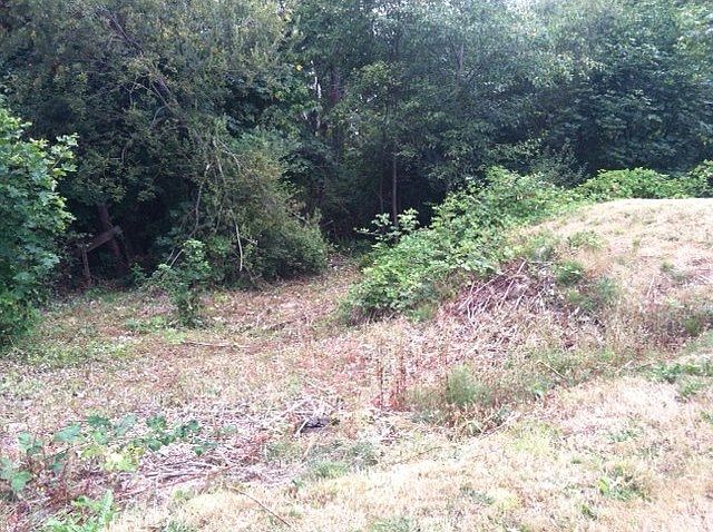 1st image of 5620 Upland Ter NE