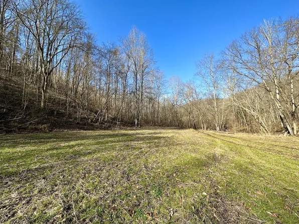 0 Hog Foot Rd, Liberty, TN 37095