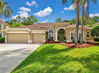 18931 Chaville Rd, Lutz, FL 33558