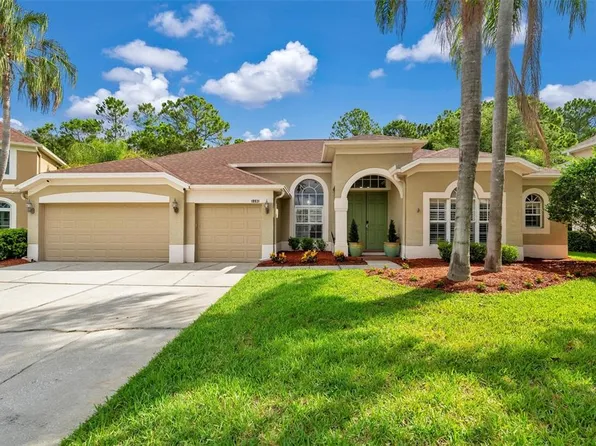 18931 Chaville Rd, Lutz, FL 33558