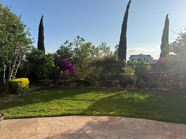 27601 Kathy Ct — Photo 31
