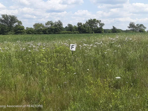 0 Montels Way Parcel F, Charlotte, MI 48813