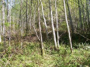 60 E Cougar Ln S, Shelton, WA 98584