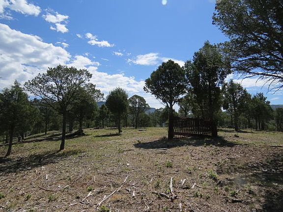 5th image of 36515 Alpine Meadows Dr