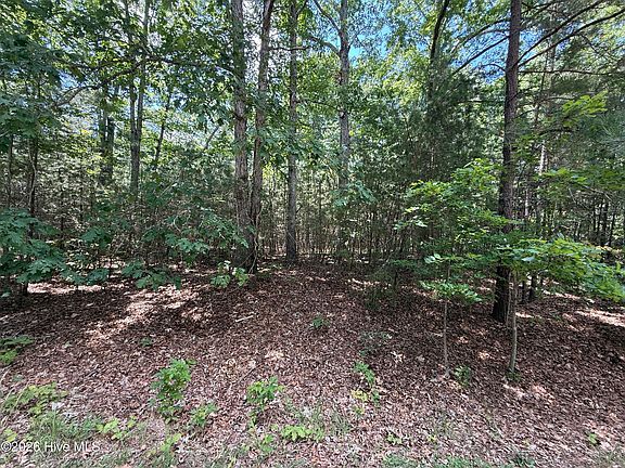 2nd image of 7801 Grand Lillie Drive