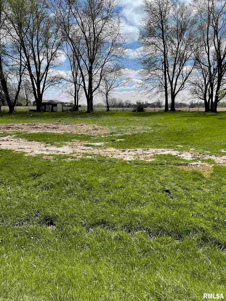 10151 Wolf Rd photo 1