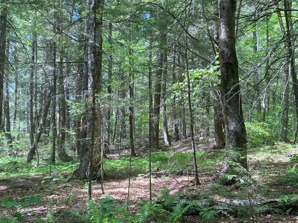TBD Baker Road, Albany Twp, ME 04217