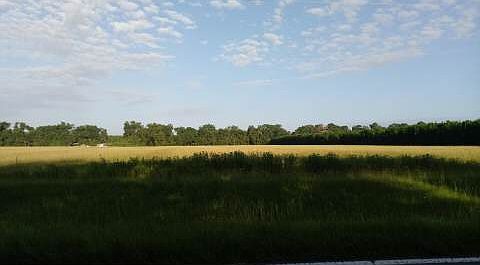 2nd image of 26843 County Road 137 #O