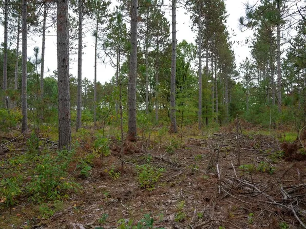 Lot 2 Bollig Court #2, Nekoosa, WI 54457