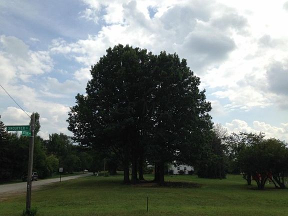 2nd image of 6735 Skyline Dr W