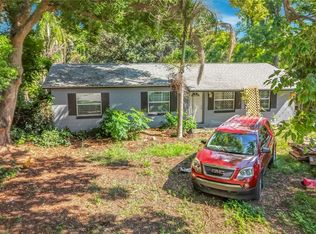 3995 Poinsettia Ave, Mount Dora, FL 32757
