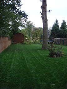 Nice Size Back Yard