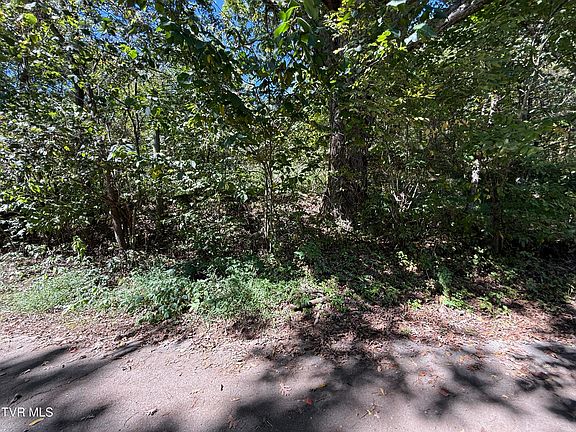 3rd image of 1128 Blue Springs Rd