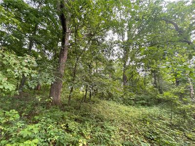 xx Palkowski Road, Independence, WI, 54747