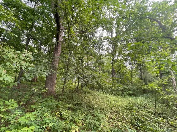 xx Palkowski Road, Waumandee, WI 54747