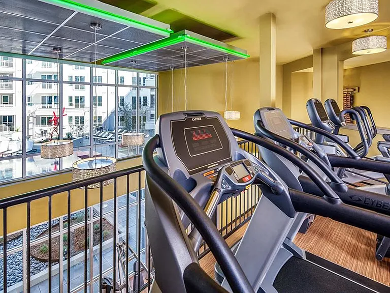 Cardio Machines