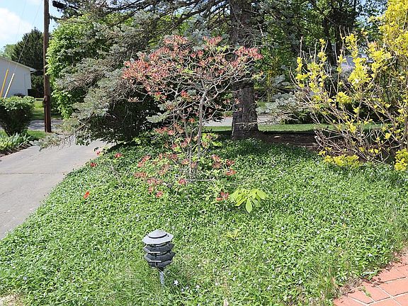 4th image of 6 Hollis Ct