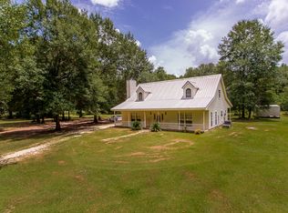 13392 Black Cat Rd, Tickfaw, LA 70466