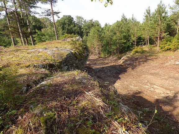 3rd image of 1 Summer City Rd