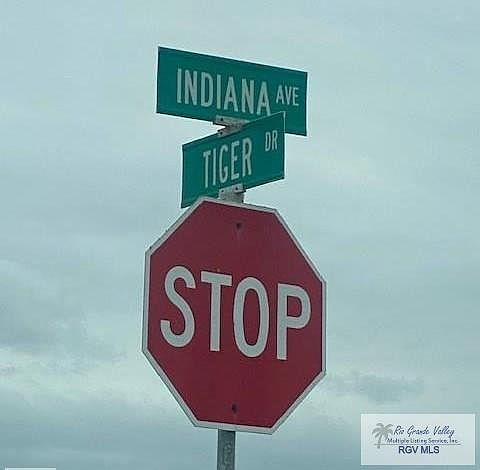 1st image of 0 Tiger
