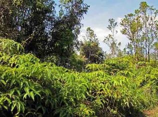 Lot 45 Malia Aina Rd, Volcano, HI 96785