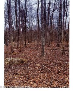 46 Gross Dr, Pocono Pines, PA, 18350