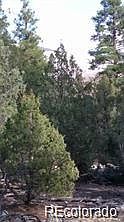 5th image of 13 Tract 2 Costilla Place