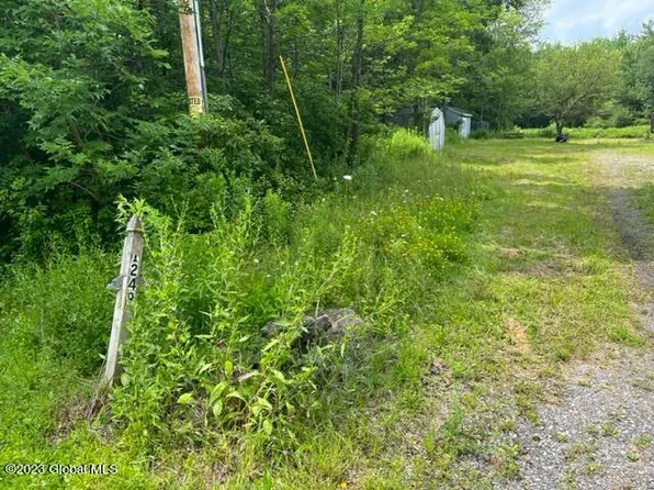 160 Three Track Mountain Road, Warnerville, NY 12187