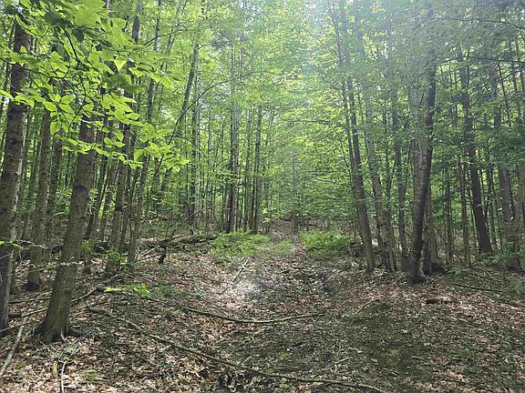 2nd image of TBD Farrar Road
