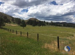 13686 Hedi Rd, Woodland Park, CO 80863